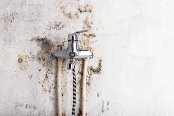 Best Water Damage Restoration  in Wallenuck Lake Estates, PA
