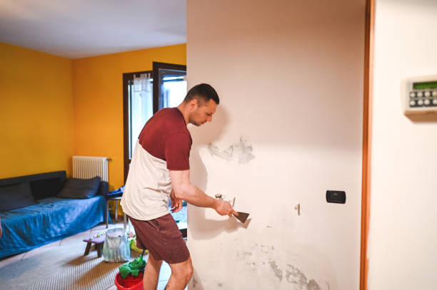 Best Professional Mold Removal  in Wallenuck Lake Estates, PA