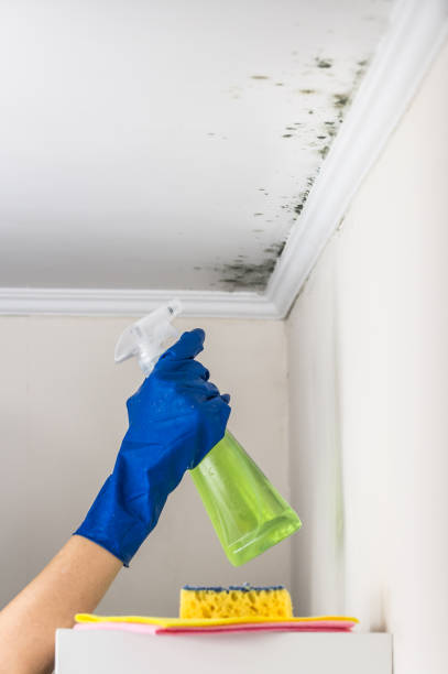 Crawl Space Mold Removal in Wallenpaupack Lake Estates, PA